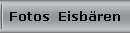 Fotos  Eisb�ren
