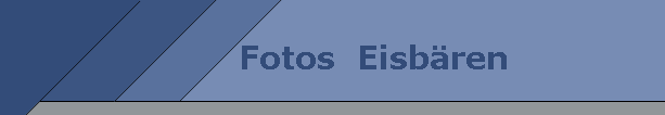 Fotos  Eisb�ren