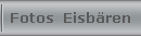 Fotos  Eisb�ren
